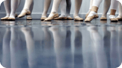 Шоу-покрытия